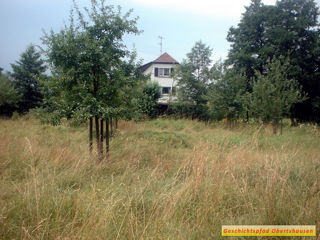 Untermühle, Blick von der Rodau um das Jahr 2000